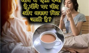 Health News : चाय में ऐसा क्‍या है, पीने पर नींद और थकान मिट जाती है?