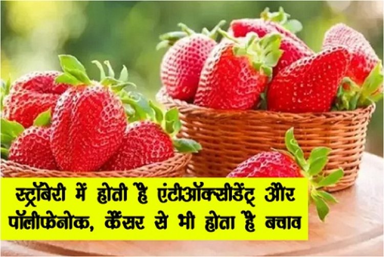 Health News : स्ट्रॉबेरी में होती है एंटीऑक्सीडेंट् और पॉलीफेनोक, कैंसर से भी होता है बचाव