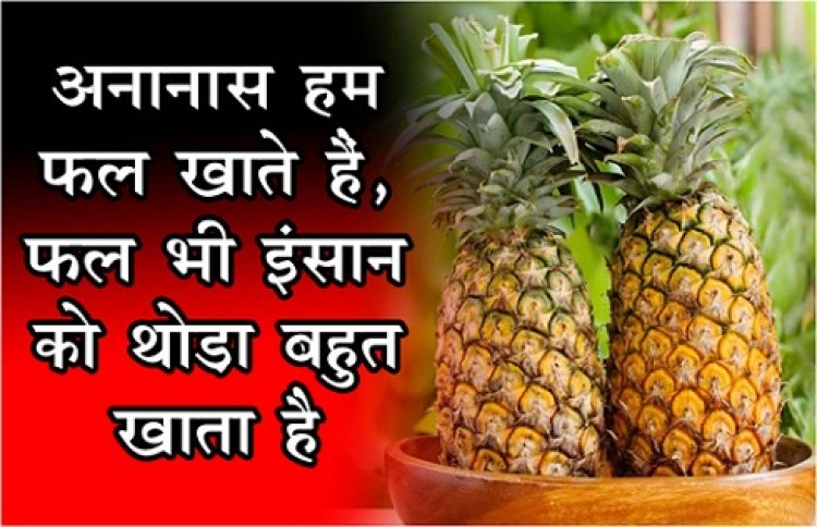 Health News : अनानास हम फल खाते हैं, फल भी इंसान को थोड़ा-बहुत खाता है...