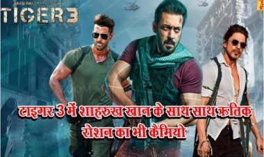 Bollywood News : टाइगर 3 में शाहरुख खान के साथ साथ ऋतिक रोशन का भी कैमियो