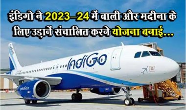 ‎Airline company Indigo : इंडिगो ने 2023-24 में बाली और मदीना के लिए उड़ानें संचा‎लित करने योजना बनाई...