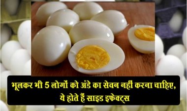 Health News : भूलकर भी 5 लोगों को अंडे का सेवन नहीं करना चाहिए, ये होते हैं साइड इफेक्ट्स 