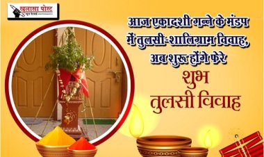 Festival News : आज एकादशी गन्ने के मंडप में तुलसी-शालिग्राम विवाह, अब शुरू होंगे फेरे