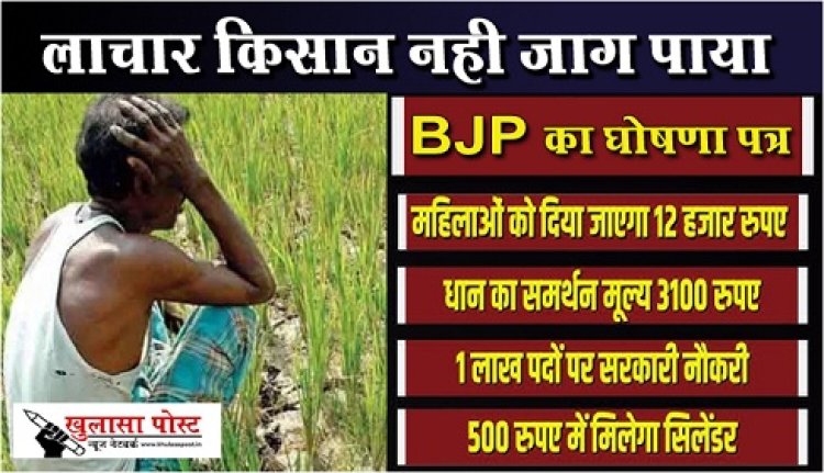 CG News : लाचार किसान नही जाग पाया ---