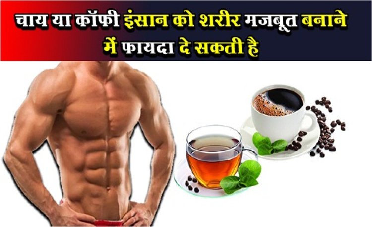 Health News : चाय या कॉफी इंसान को शरीर मजबूत बनाने में फायदा दे सकती है