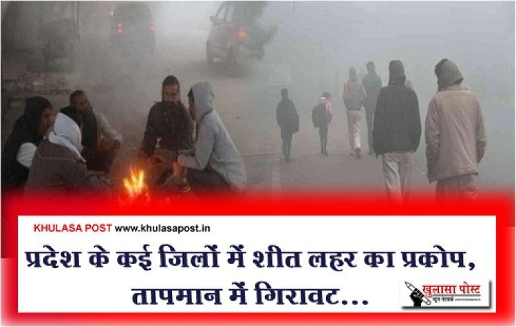 Weather News : प्रदेश के कई जिलों में शीत लहर का प्रकोप, तापमान में गिरावट...