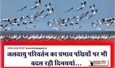 Climate Change : जलवायु परिवर्तन का प्रभाव पक्षियों पर भी बदल रही दिनचर्या...