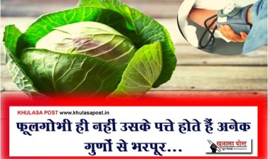 Health News : फूलगोभी ही नहीं उसके पत्ते होते हैं अनेक गुणों से भरपूर...
