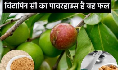 अमेजन के जंगल में फलता है यह फल, मिल जाए तो तुरंत खरीदें, बीमारी के लिए काल