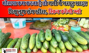 Benifits of Kheera : मोटापा कम करना है तो गर्मी में भरपूर खाइए पिसू लूण संग खीरा, स्किन करेगी ग्लो, कब्ज से मिलेगा छुटकारा