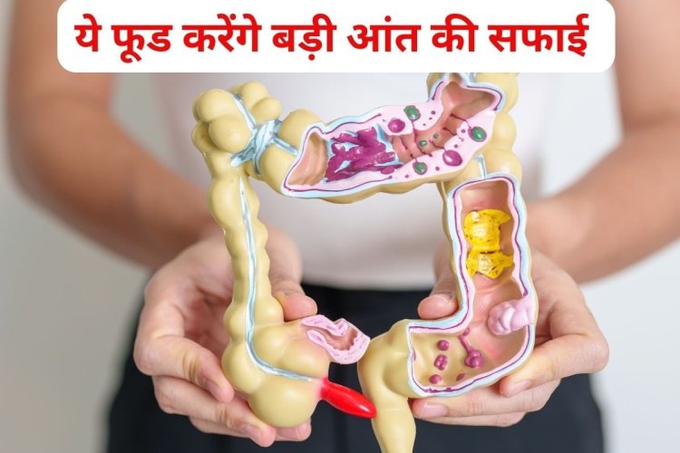 कब्ज से हैं परेशान 1 सप्ताह करें इन 6 फूड का सेवन, बड़ी आंत की गंदगी होगी साफ