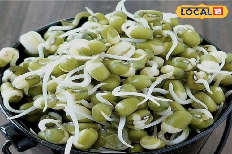 ये है प्रोटीन का पावर हाउस...हड्डियां होंगी मजबूत, नहीं आएगा बुढ़ापा