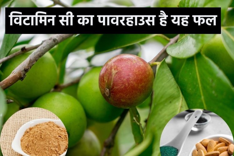 अमेजन के जंगल में फलता है यह फल, मिल जाए तो तुरंत खरीदें, बीमारी के लिए काल