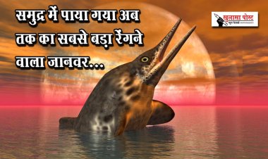 समुद्र में पाया गया अब तक का सबसे बड़ा रेंगने वाला जानवर...