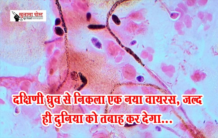 दक्षिणी ध्रुव से निकला एक नया वायरस, जल्द ही दुनिया को तबाह कर देगा...