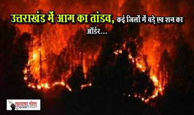 उत्तराखंड में आग का तांडव, कई जिलों में बड़े एक्‍शन का ऑर्डर...
