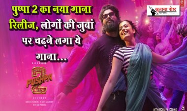 पुष्पा 2 का नया गाना रिलीज, लोगों की जुबां पर चढ़ने लगा ये गाना...