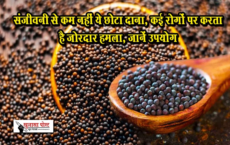 संजीवनी से कम नहीं ये छोटा दाना, कई रोगों पर करता है जोरदार हमला, जानें उपयोग