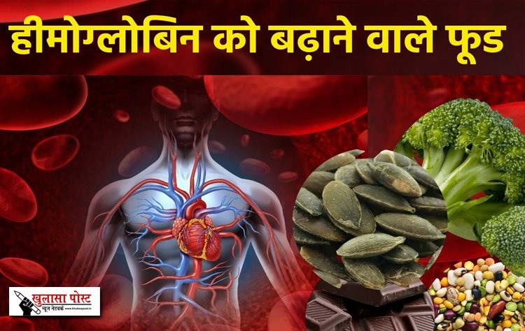 खून के कतरे-कतरे में भर जाएगी लौह शक्ति, 7 सस्ते इस फूड का रोज करें सेवन...