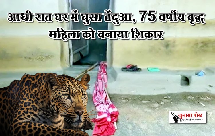 आधी रात घर में घुसा तेंदुआ, 75 वर्षीय वृद्ध महिला को बनाया शिकार