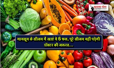 मानसून के सीजन में खाएं ये 6 फल, पूरे सीजन नहीं पड़ेगी डॉक्टर की जरूरत...