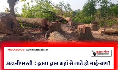 अडानीपरस्ती : इतना ज्ञान कहां से लाते हो माई-बाप?