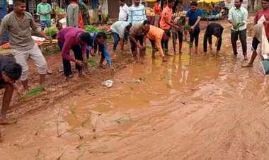 बाजार में कीचड़ से परेशान ग्रामीणों ने किया अनोखा विरोध प्रदर्शन, कीचड़ और दलदल युक्त सड़क में ग्रामीणों ने किया धान की पौधों की रोपाई