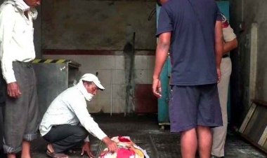 महिला ने चूहे को मारने रखा था टमाटर, अनजाने में खाने से 6 साल की मासूम बच्ची की इलाज के दौरान मौत, परिवार में पसरा मातम