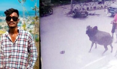 अनियंत्रित होकर डिवाइडर से टकराई स्कूटी, सड़क पर गिरे युवक को सामने से आ रही कार ने रौंदा, रक्षाबंधन पर बहन से मिलकर लौट रहे भाई की मौत