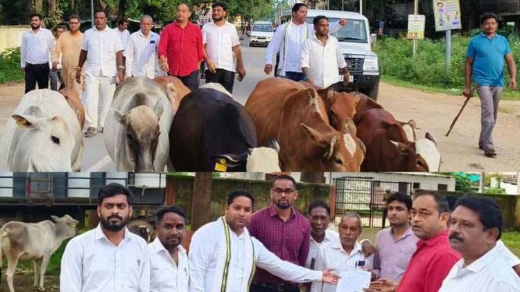 गरियाबंद ब्लॉक कांग्रेस कमेटी समेत छग में गौ सत्याग्रह को लेकर बोला हल्ला, इन मुद्दों पर सरकार को घेरा, बढ़ी मुश्किलें