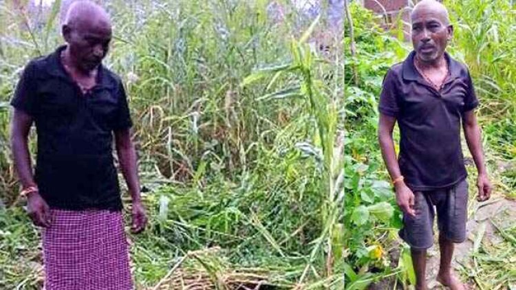 जंगल गए युवक पर तीन भालुओं ने किया हमला, सांस रोककर लेटने से बची जान, हालत नाजुक, दंतैल हाथी से बाल-बाल बची ग्रामीण की जान, 20 गांव में दहशत