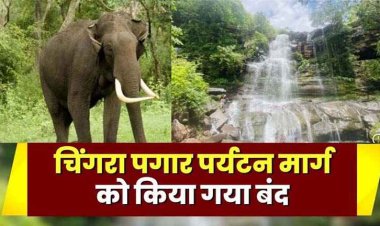 राजिम में दंतैल हाथी ने फिर दी दस्तक, पगार वाटरफॉल को भी किया गया बंद, गांवों में हाई अलर्ट जारी, वन विभाग करा रही मुनादी