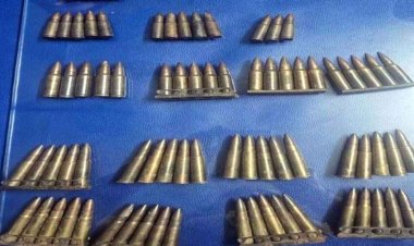 रायपुर में मिला गोलियों का जखीरा, नाले में मछलियां पकड़ते समय बच्चों को मिले कारतूस, SLR, Ak-47 और 3 नाट 3 राइफल की 70 गोलियां जब्त