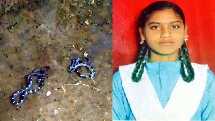 जहरीले सांप के काटने से जमीन पर सोई 12वीं की छात्रा की इलाज के दौरान मौत, गांव में पसरा मातम, फिंगेश्वर का मामला