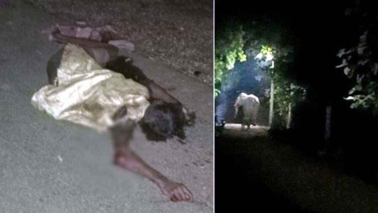 हाथी ने ग्रामीण को पटका, मौके पर मौत, लोगों में दहशत, वन विभाग के लिए चुनौती, इलाके में दहशत का माहौल, एलर्ट जारी