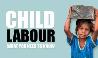 रायपुर में नाबालिग से मजदूरी, पाव डोज कैफे संचालक अविनाश गंगवानी के खिलाफ पुलिस की कार्रवाई, बाल श्रम अधिनियम के तहत दर्ज केस दर्ज