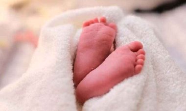 नवजात शिशु के मौत की जानकारी सुनते ही पिता हुआ आक्रामक, तोड़ डाला चिकित्सालय में लगा पार्टिशन, खतरे में नवजात बच्चों जिंदगी