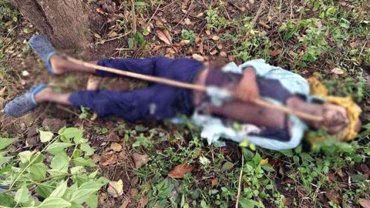 जंगल में मवेशी चराने गए चरवाहे की हुई मौत, पुल के नीचे मिला युवक का शव, ओवरब्रिज के नीचे मिली लाश, हत्या की आशंका, फैली सनसनी