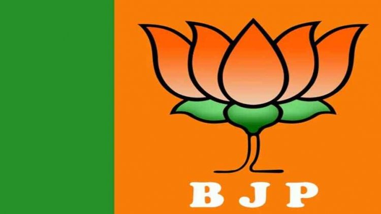 सत्ता मिलते ही भाजपा में पार्टी के अंदर आरोप प्रत्यारोप शुरु, अपने ही नेताओं पर भाजयुमो नेता ने लगाया गंभीर आरोप