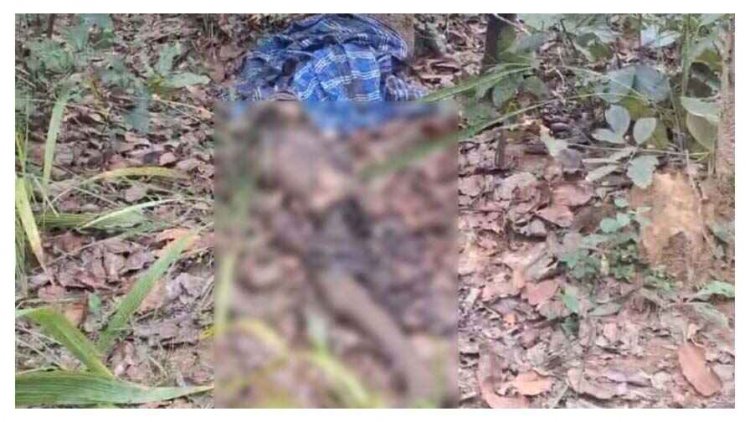 जंगल में सड़ी गली हालत में मिली एक हफ्ते से लापता युवक की लाश, इलाके में फैली सनसनी, पुलिस कर रही मामले की जांच
