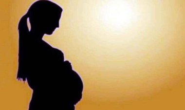 छत्तीसगढ़ में नाबालिग बनी मां, डिलीवरी के बाद बच्चे की मौत, प्रेमी ने शादी का झांसा देकर कई बार बनाया था संबंध, आरोपी गिरफ्तार