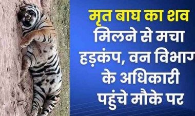 छत्तीसगढ़ में बाघ की मौत से वन विभाग में मचा हडकंप,पीसीसीएफ ने वन्यजीवों की सुरक्षा के लिए कड़े कदम उठाने दिए निर्देश