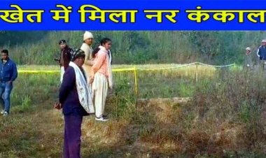 बंद पड़े फ्लाई ऐश ब्रिक्स प्लांट के पास मिले 3 मानव कंकाल, खेत में बिखरी मिलीं हड्डियां, मचा हड़कंप, इलाका सील, जांच में जुटी फोरेंसिक टीम