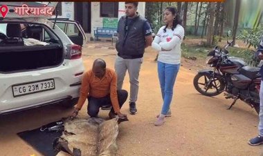 कार में छिपाकर ले जा रहे चीतल की खाल, अवैध तस्करी के खिलाफ वन विभाग ने लिया एक्शन, गरियाबंद के बारुका में सपड़ाए दो तस्कर दम्पप्ति