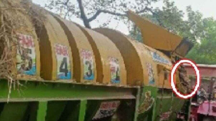 दर्दनाक हादसा, धान मिंजाई करने नशे में धुत होकर पहुंचा मजदूर, थ्रेसर मशीन में पिस गया ग्रामीण युवक, क्षत-विक्षत हुआ शव, पसरा मातम