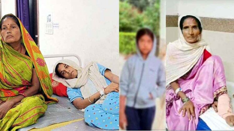 सर्पदंश के बढ़ रहे मामले, नागिन डांस के दौरान डांसर को सांप ने डसा, गली में खेल रही मासूम बच्ची और खेत में महिला को सर्प ने काटा