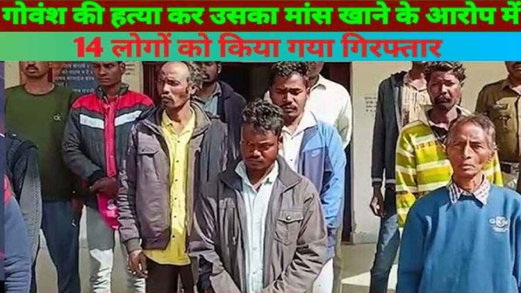 जशपुर जिले में गौ हत्या और उसका मांस खाते हुए रंगे हाथ पुलिस ने 14 आरोपियों को किया गिरफ्तार, इन धाराओं में हुआ केस दर्ज