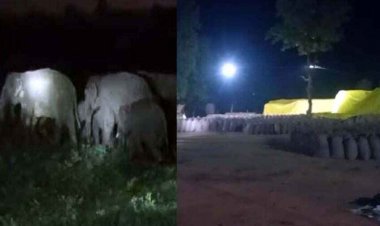 धान खरीदी केंद्र में हाथियों ने मचाई तबाही, बोरी में रखे धान को किया बर्बाद, बस्ती में घुसा हाथी, ग्रामीण इलाके में कराई गई मुनादी