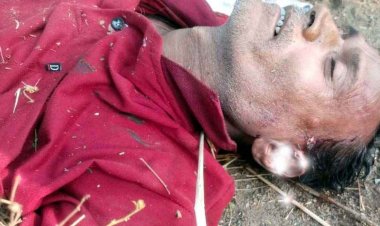 दर्दनाक सड़क हादसा, पेड़ से टकराई तेज रफ्तार बाइक, मौके पर हुई पति की मौत, पत्नी की हालत नाजुक, पसरा मातम, जांच में जुटी पुलिस