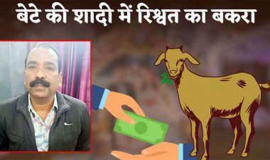 बेटे की शादी के लिए मांगा बकरा और 50 हजार रुपये, ACB ने धर दबोचा, तहसील कार्यालय का बाबू बहाली के एवज में कोटवार से रिश्वत लेते गिरफ्तार